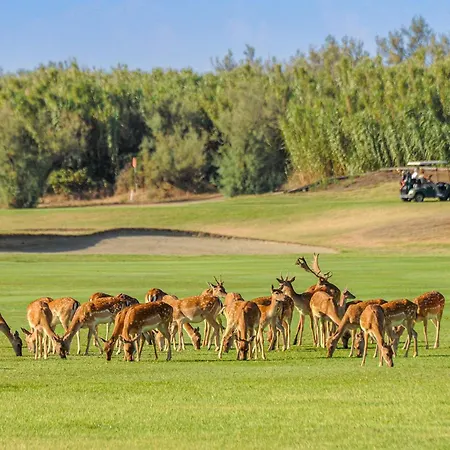 V3 - Valle Da Pesca *