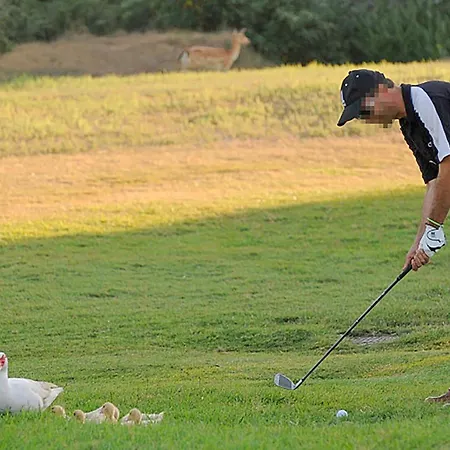 Casa vacanze V3 - Valle Da Pesca